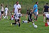 IMG_6161.jpg