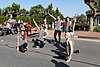IMG_3536.jpg
