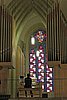 IMG_6884.jpg