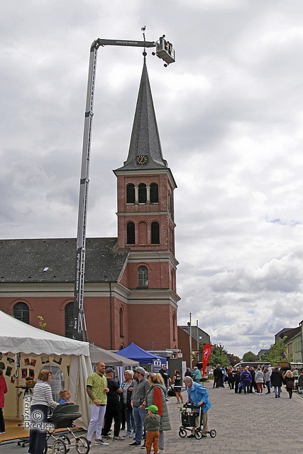 IMG_0133.jpg