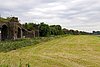 IMG_5707.jpg