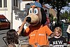 IMG_2898.jpg