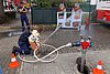 IMG_2953.jpg