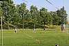 IMG_0948.jpg