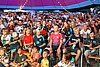 IMG_0990.jpg
