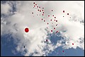 IMG_0320.jpg