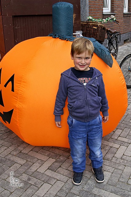 IMG_7423.jpg
