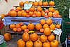 IMG_7230.jpg