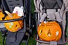 IMG_7286.jpg