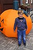 IMG_7423.jpg