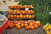 IMG_3009.jpg