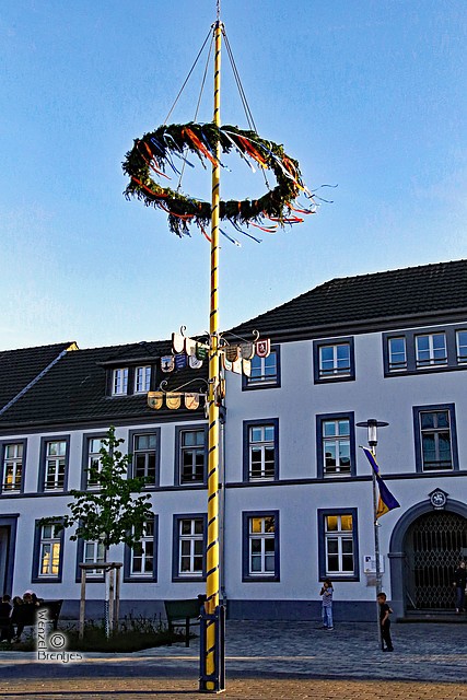 IMG_9767.jpg