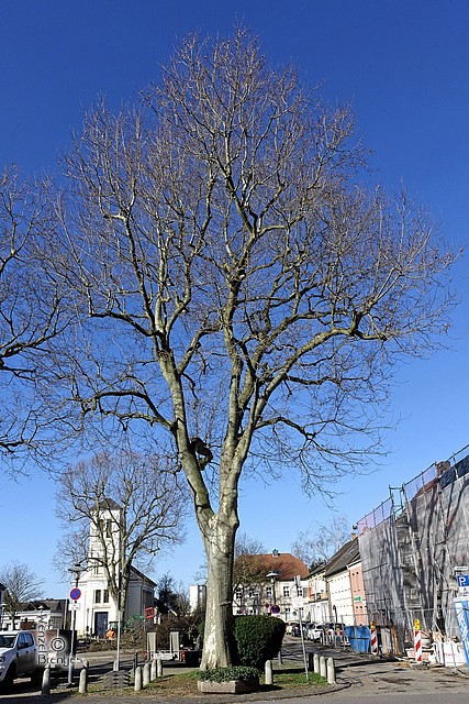 DSC06841.jpg