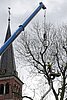 DSC07019.jpg