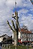 IMG_0409.jpg
