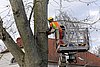 IMG_0414.jpg