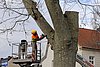 IMG_0427.jpg