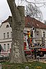 IMG_0452.jpg