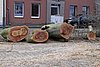 IMG_0455.jpg