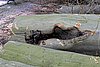 IMG_0456.jpg