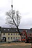 IMG_0469.jpg