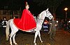 IMG_1547.jpg