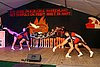 IMG_4213.jpg