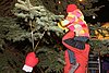 IMG_6733.jpg