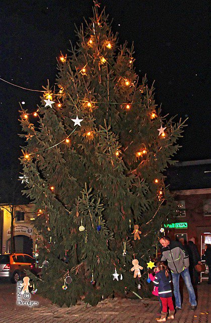 IMG_1328.jpg