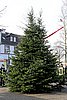 IMG_9560.jpg