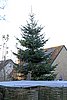 IMG_2472.jpg