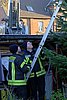 IMG_2479.jpg