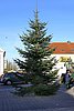 IMG_2612.jpg