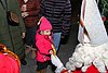 IMG_2731.jpg