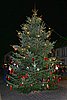 IMG_2800.jpg